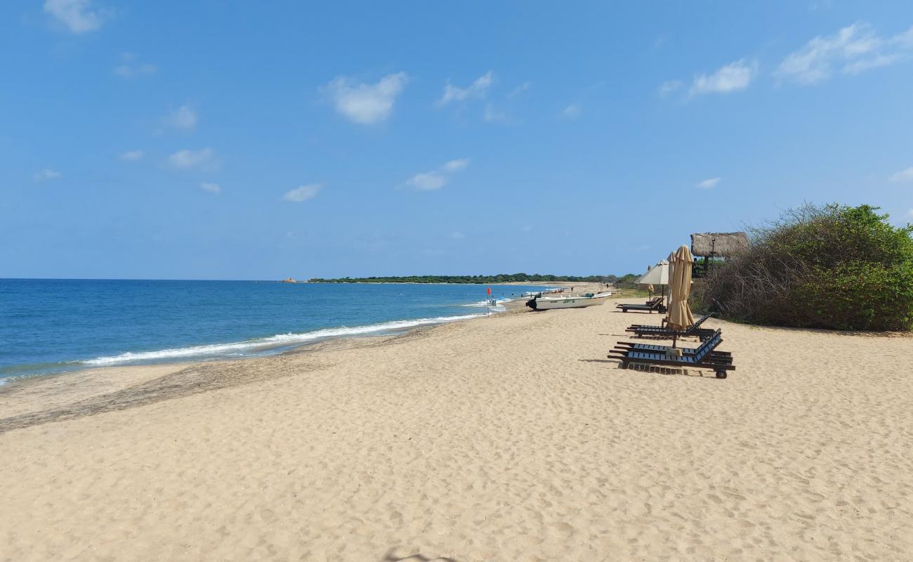 Uga Jungle Beach'in fotoğrafı açık bej kum yüzey ile