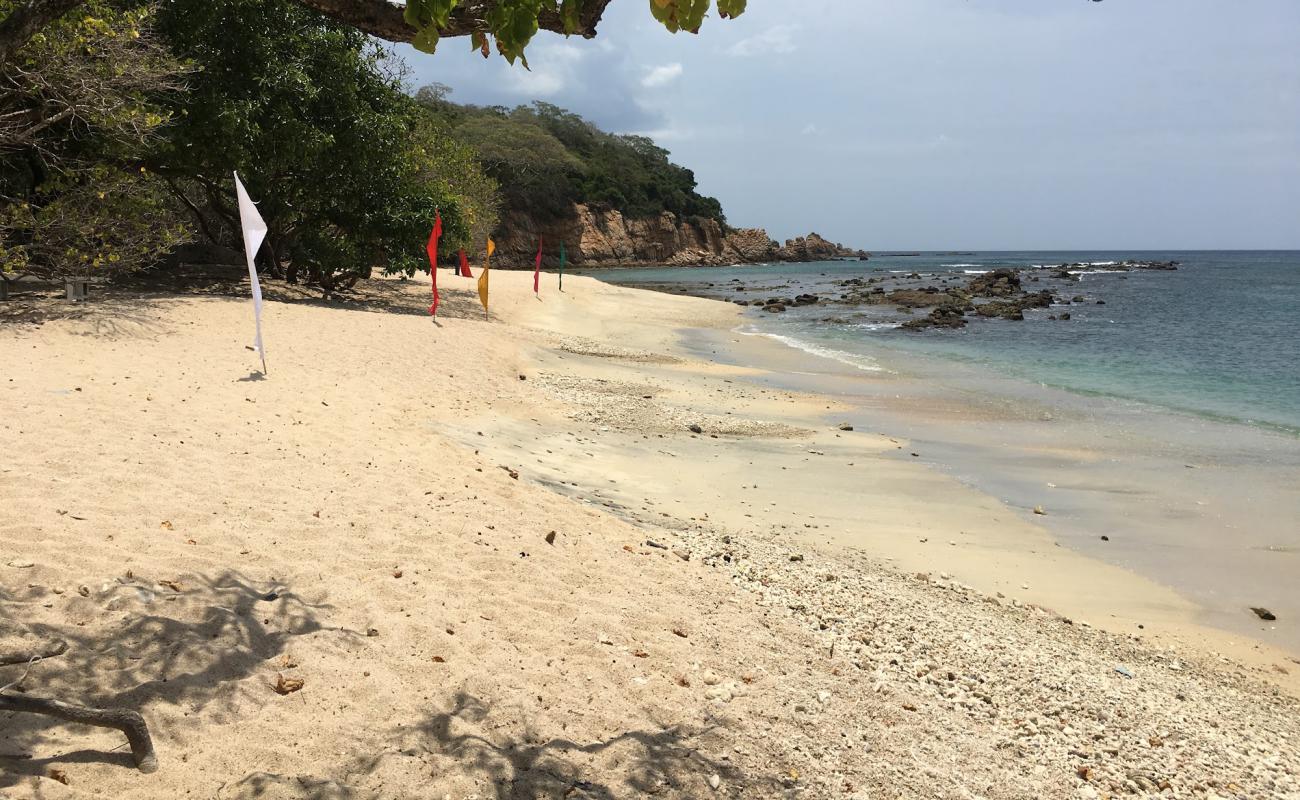 Coral Cove Beach'in fotoğrafı parlak kum yüzey ile