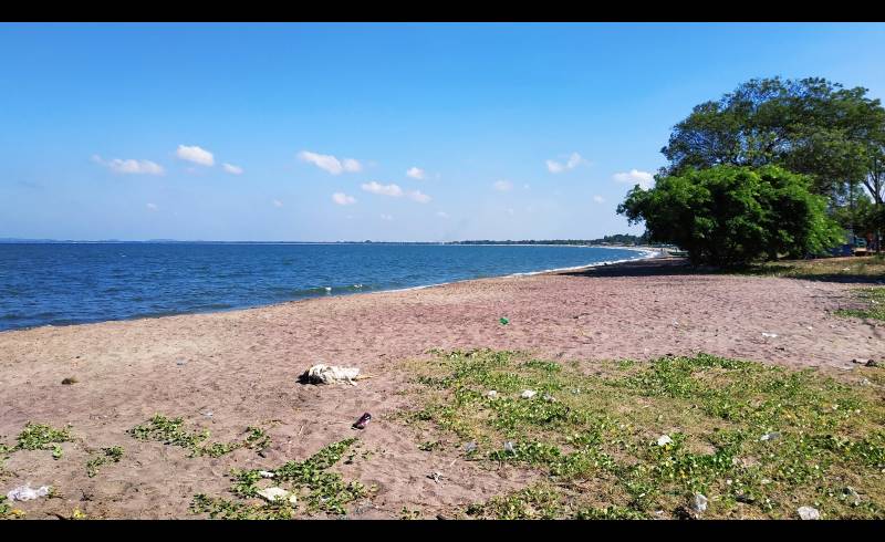 Kinniya Beach'in fotoğrafı açık bej kum yüzey ile