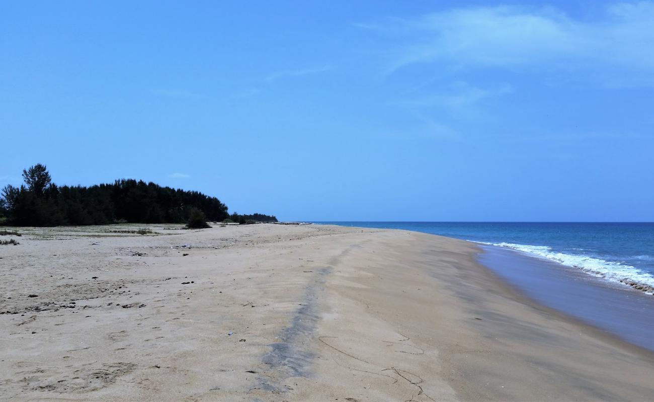 Puthukkudiyiruppu Beach'in fotoğrafı açık bej kum yüzey ile