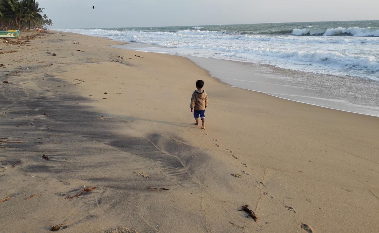 Nintavur Beach'in fotoğrafı parlak kum yüzey ile