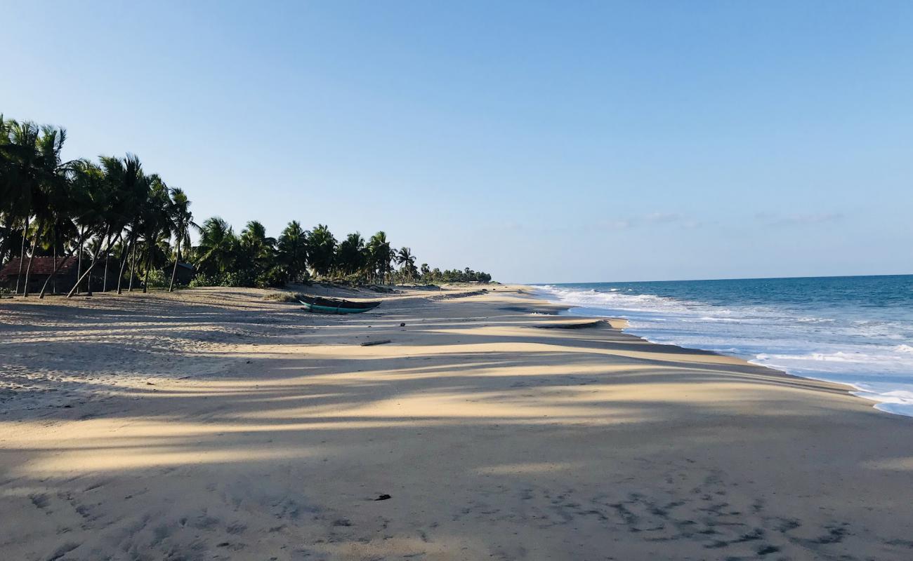 Akkarapaththu beach'in fotoğrafı parlak kum yüzey ile