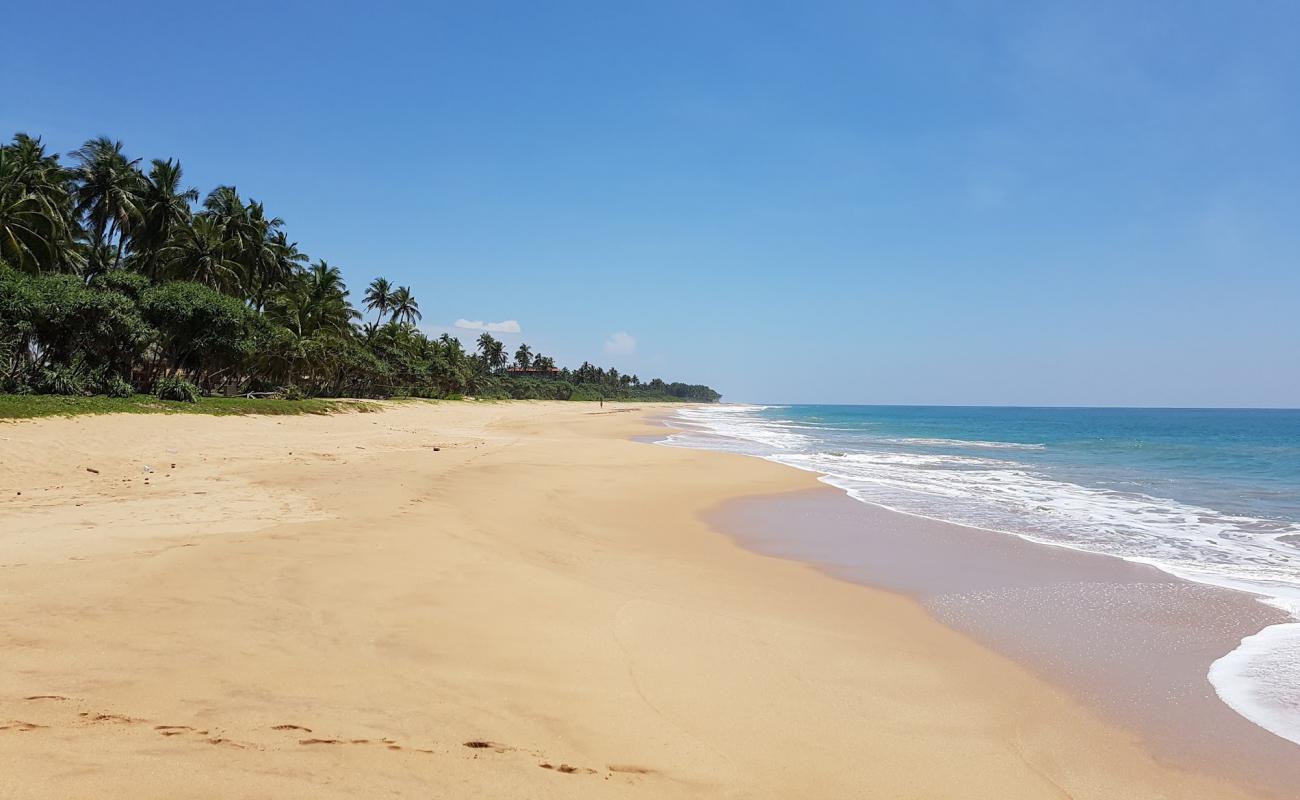 Wella Odaya Beach'in fotoğrafı açık bej kum yüzey ile