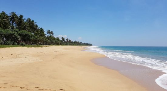Wella Odaya Beach