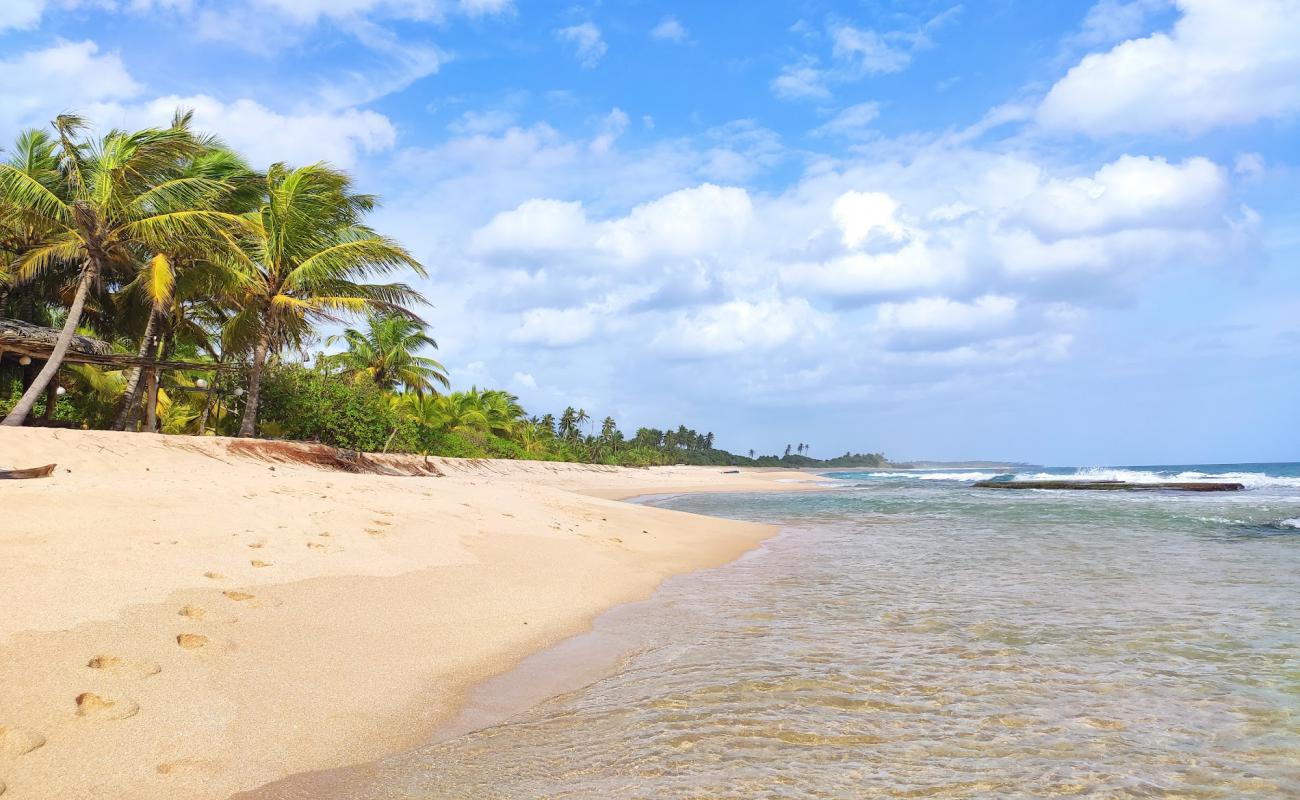 Tangalle Beach'in fotoğrafı parlak kum yüzey ile