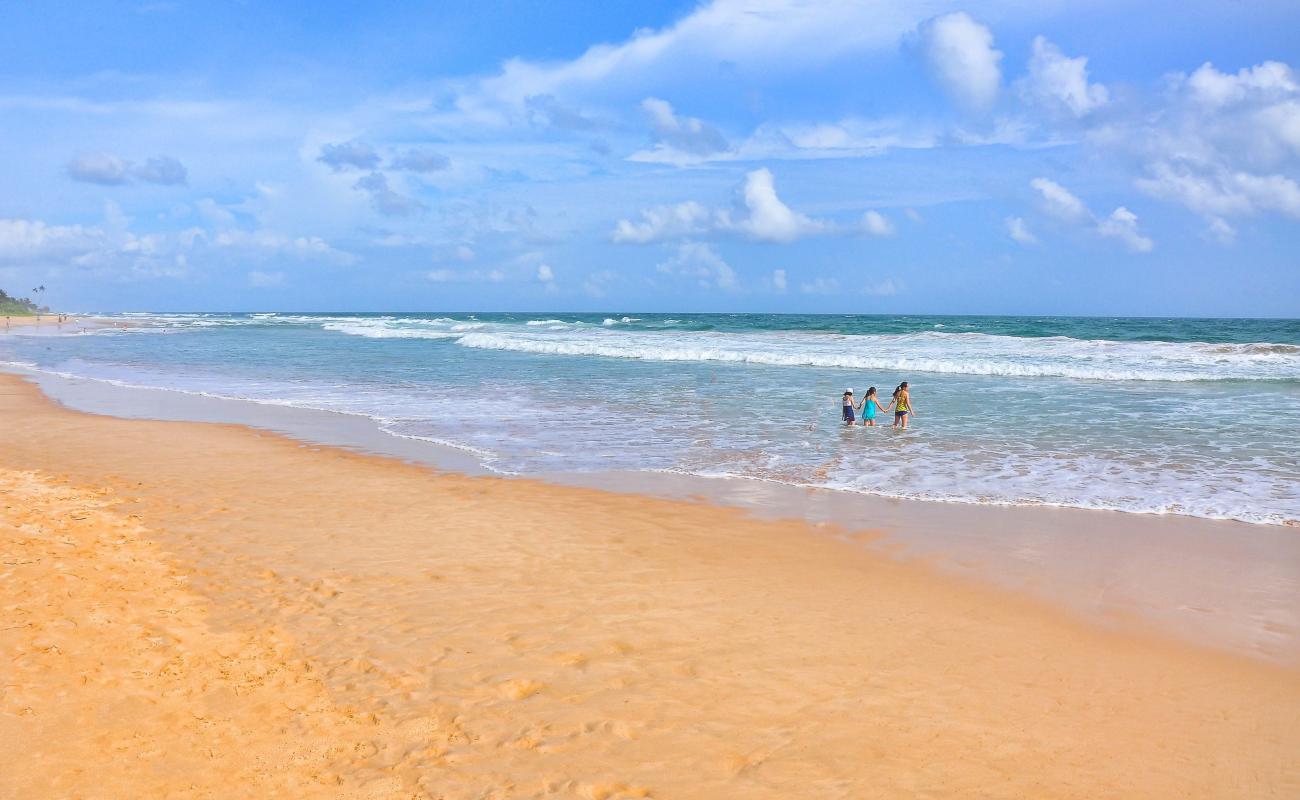 Koggala Beach'in fotoğrafı i̇nce bej kum yüzey ile