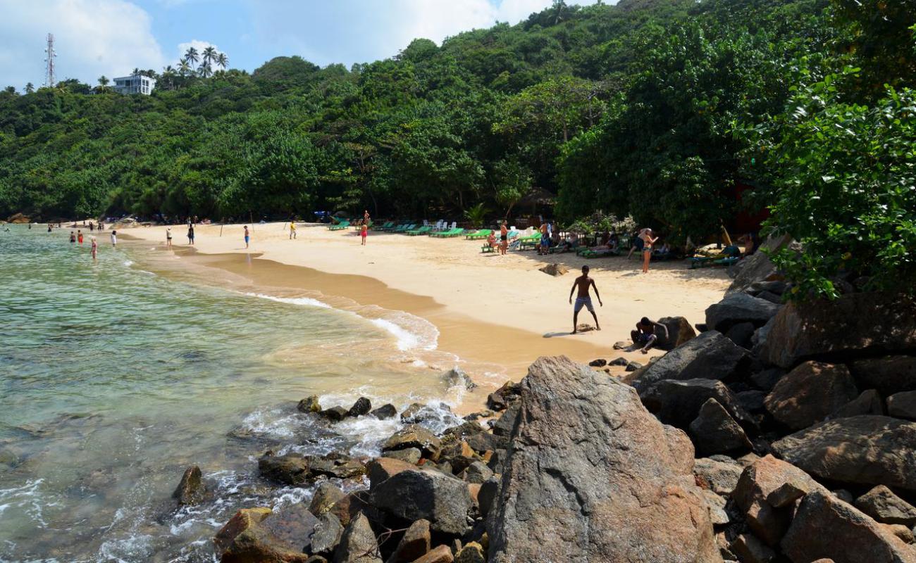 Jungle Plajı'in fotoğrafı parlak kum yüzey ile