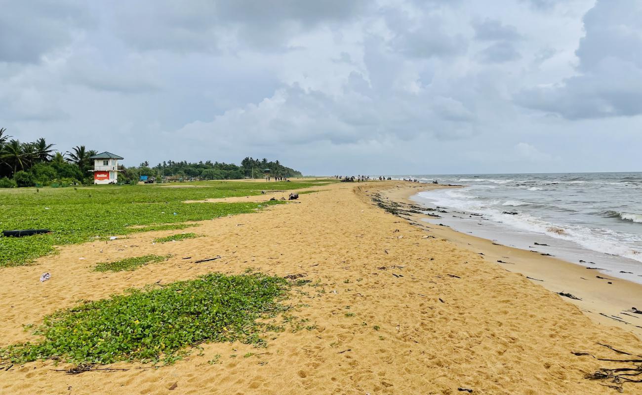 Panadura Beach'in fotoğrafı parlak kum yüzey ile