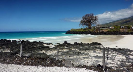 Plage de Chomoni