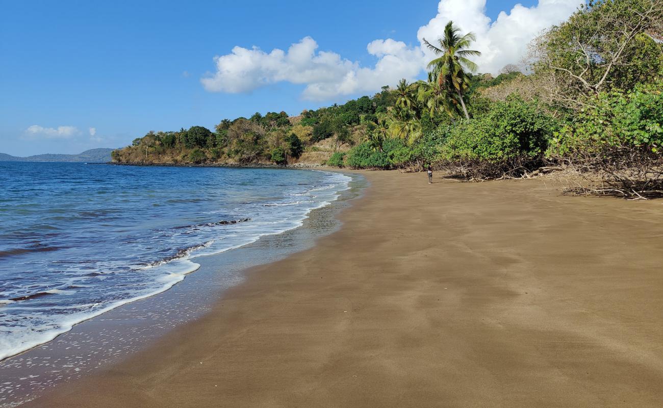 Musical Beach'in fotoğrafı i̇nce kahverengi kum yüzey ile