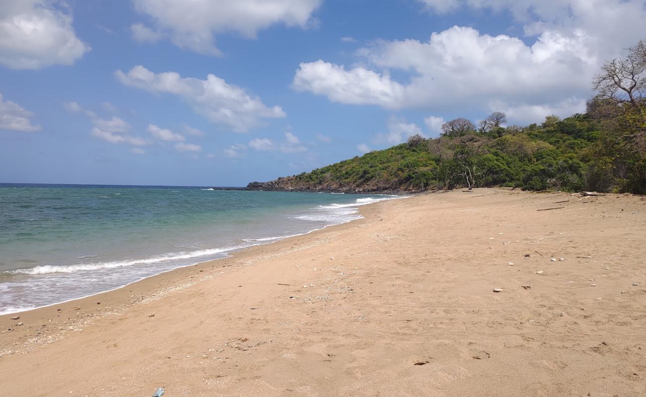 Mtsanga Kolo Batsoumou Beach'in fotoğrafı kahverengi kum yüzey ile
