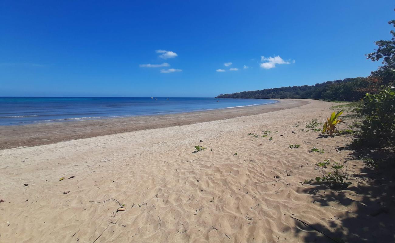 Mtsanga Foumbouni Beach'in fotoğrafı parlak kum yüzey ile