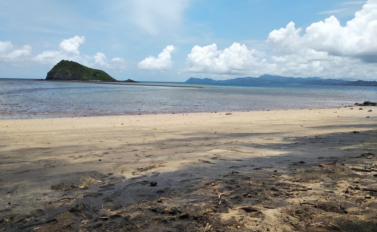 M'tsaga mtiti Beach'in fotoğrafı parlak kum yüzey ile