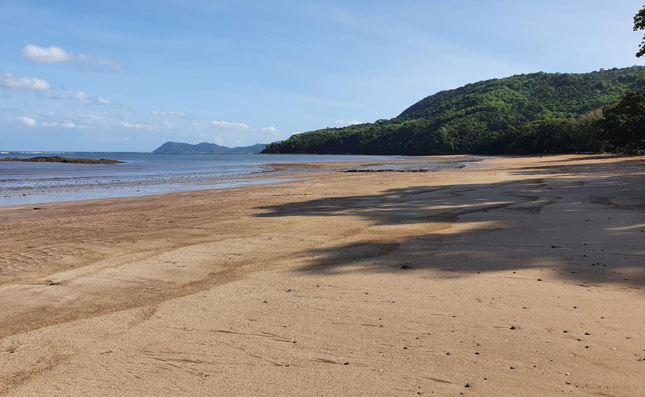 Sohoa Beach'in fotoğrafı gri kum yüzey ile