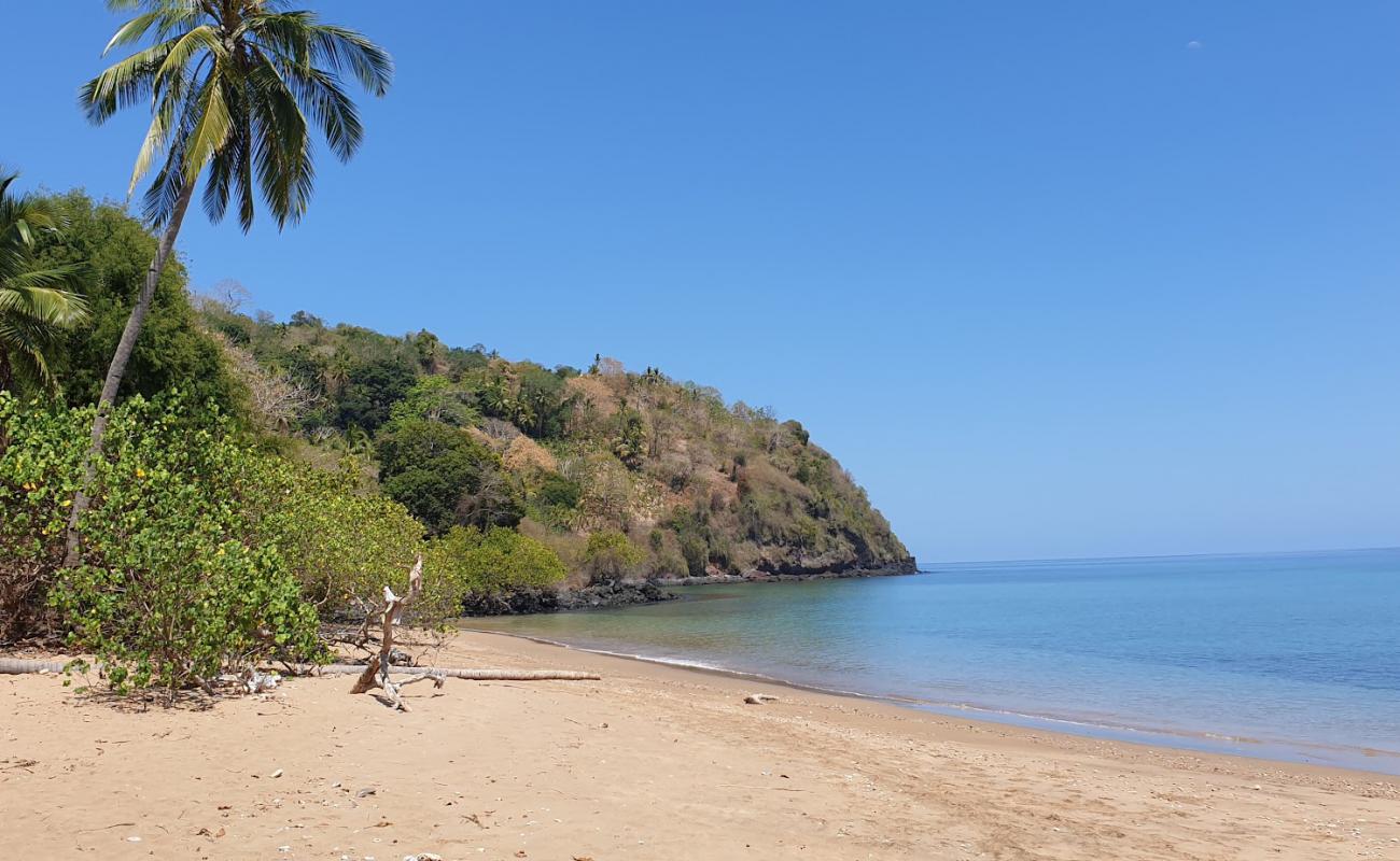 Mtsanga Tsoha Beach'in fotoğrafı parlak kum yüzey ile