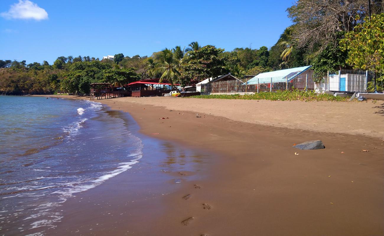 Trevani Beach'in fotoğrafı kahverengi kum yüzey ile