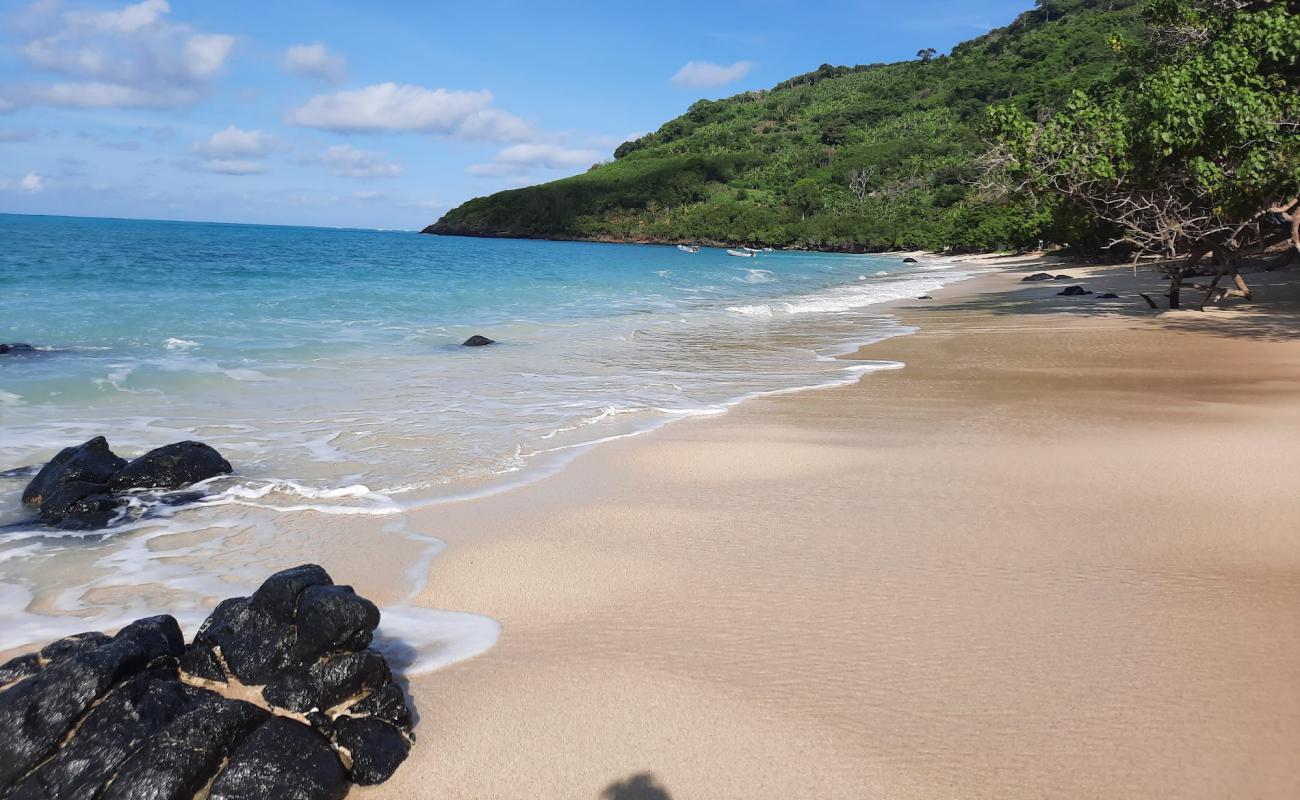 Mtsanga Safari Beach'in fotoğrafı i̇nce bej kum yüzey ile