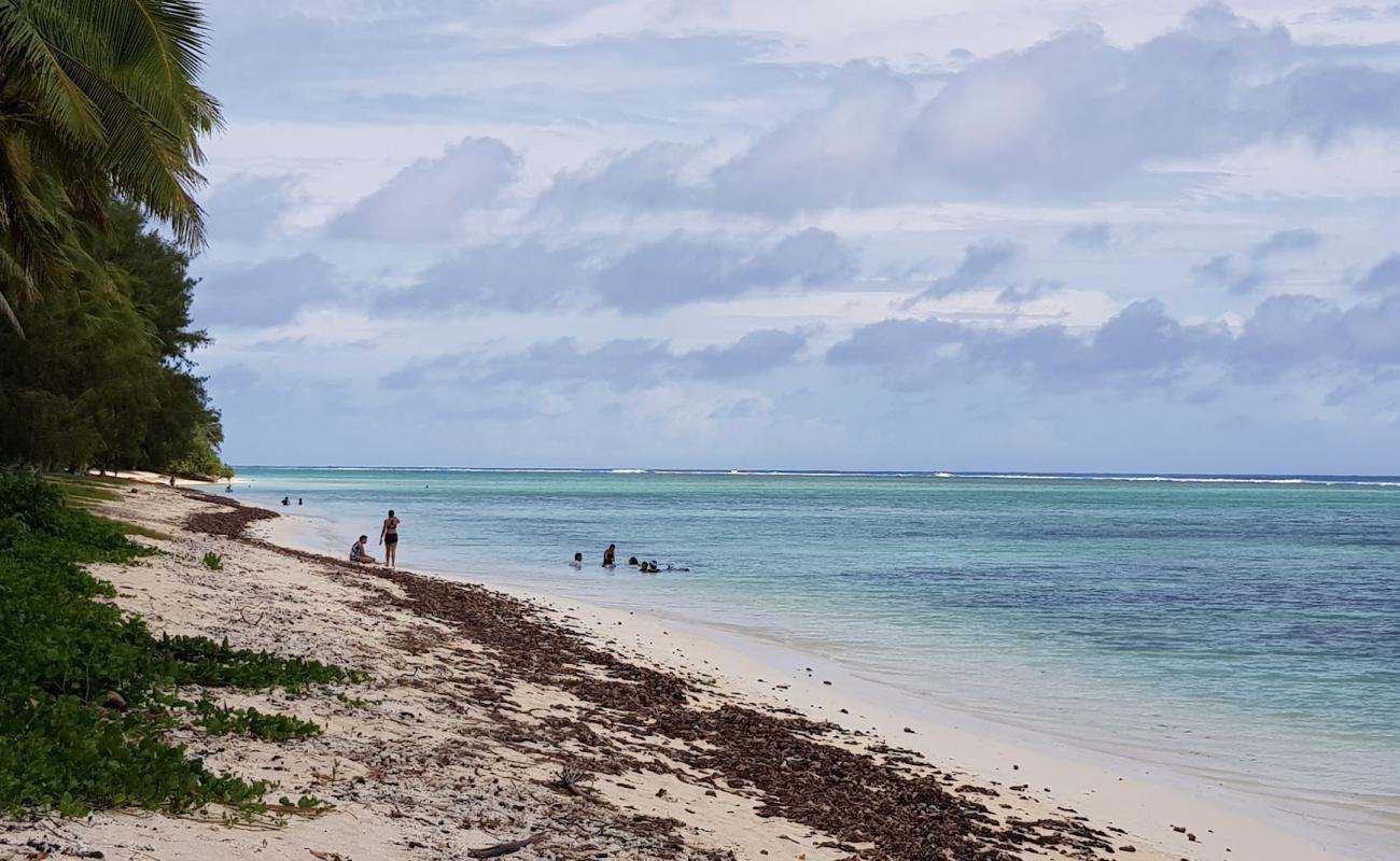 Turoa beach'in fotoğrafı parlak kum yüzey ile