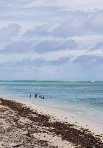 Rarotonga Adası