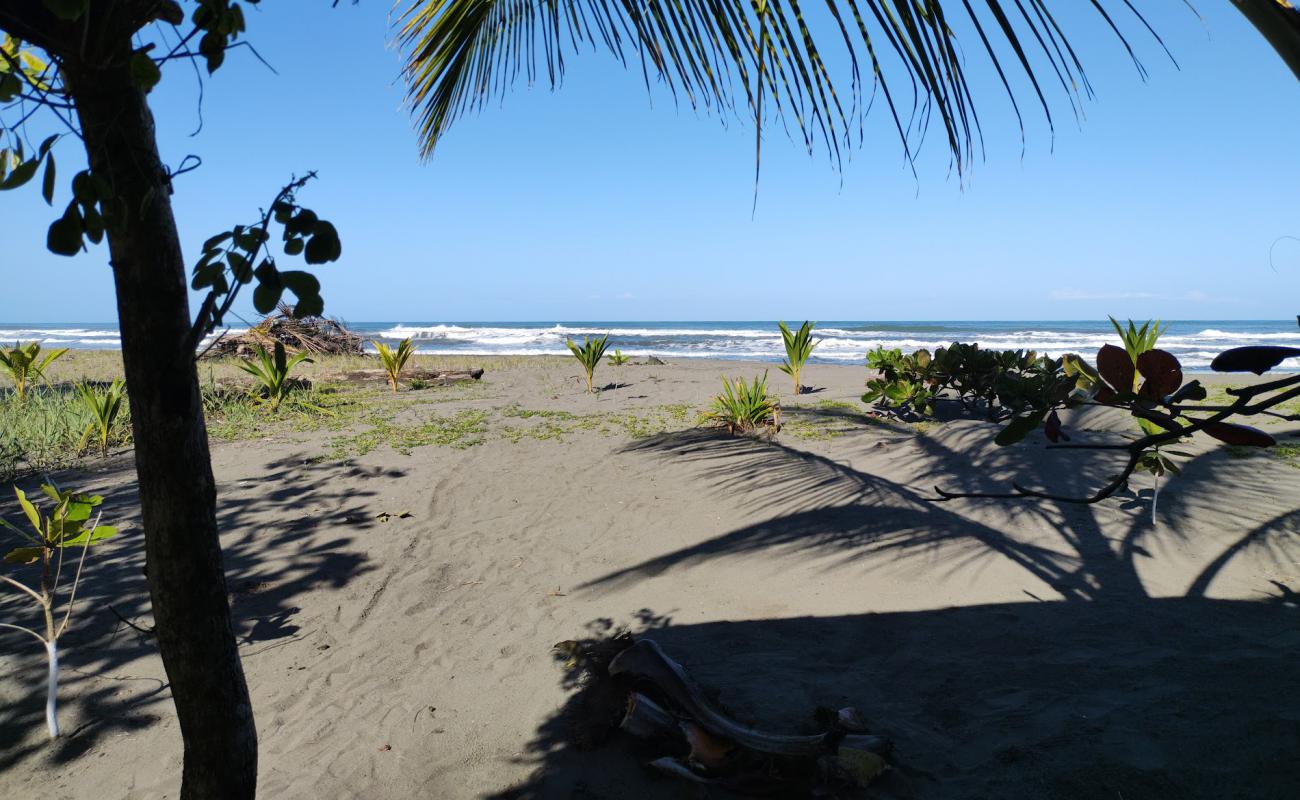 Playa Bananito'in fotoğrafı gri kum yüzey ile