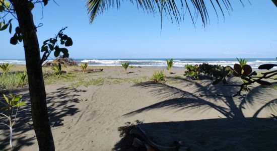 Playa Bananito