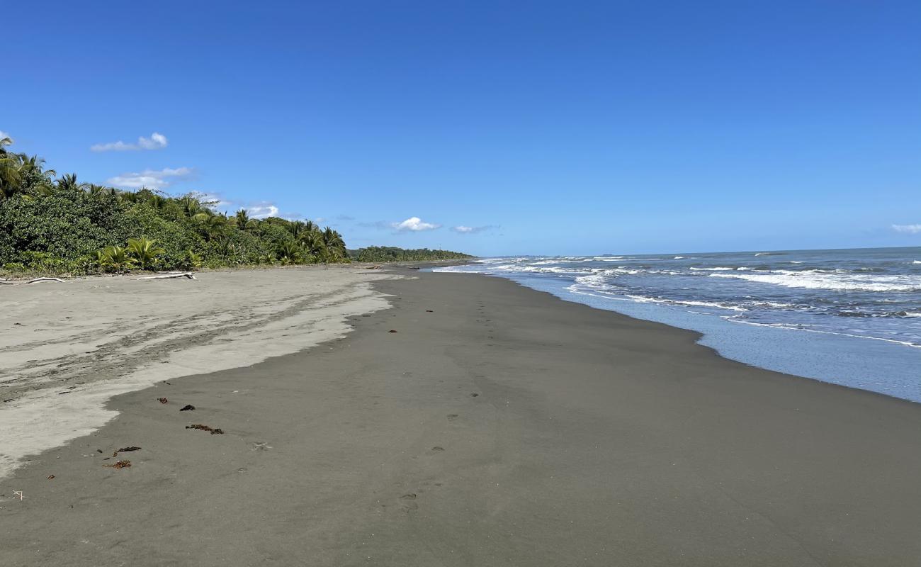 Palmeras beach'in fotoğrafı gri kum yüzey ile