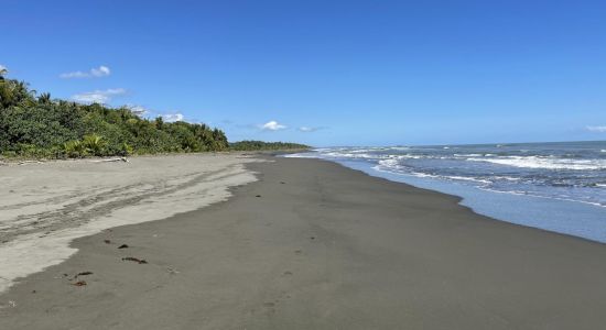 Palmeras beach