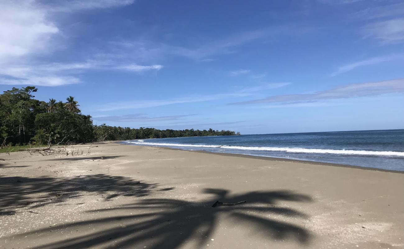 Puerto Vargas'in fotoğrafı parlak kum yüzey ile