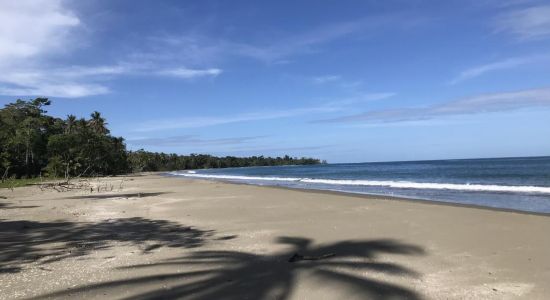 Puerto Vargas