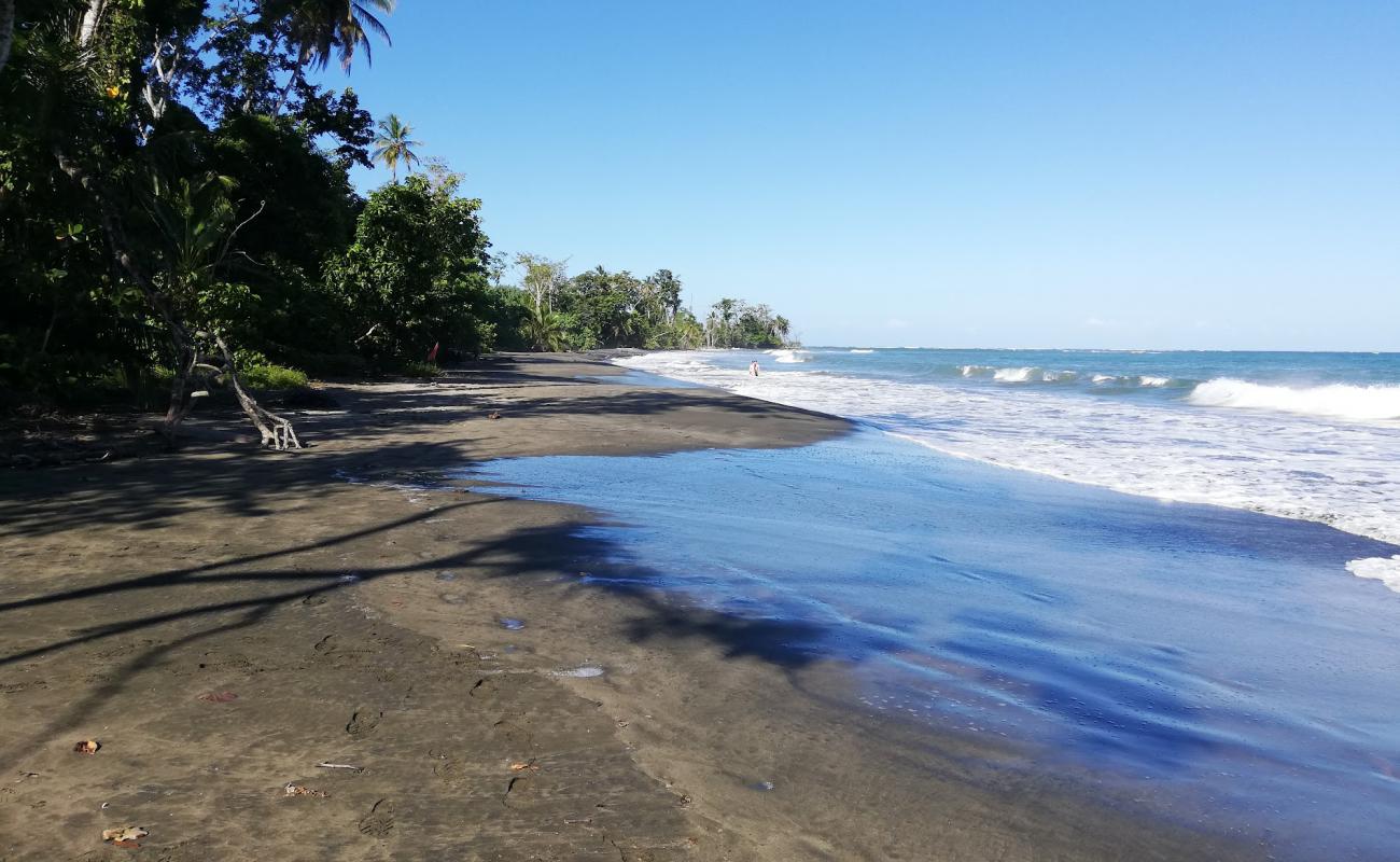 Puerto Viejo beach'in fotoğrafı açık bej kum yüzey ile