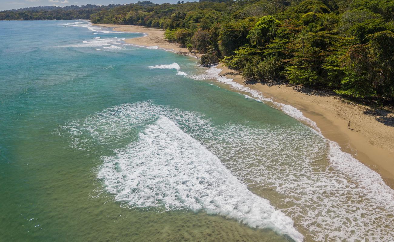 Cocles beach'in fotoğrafı parlak kum yüzey ile