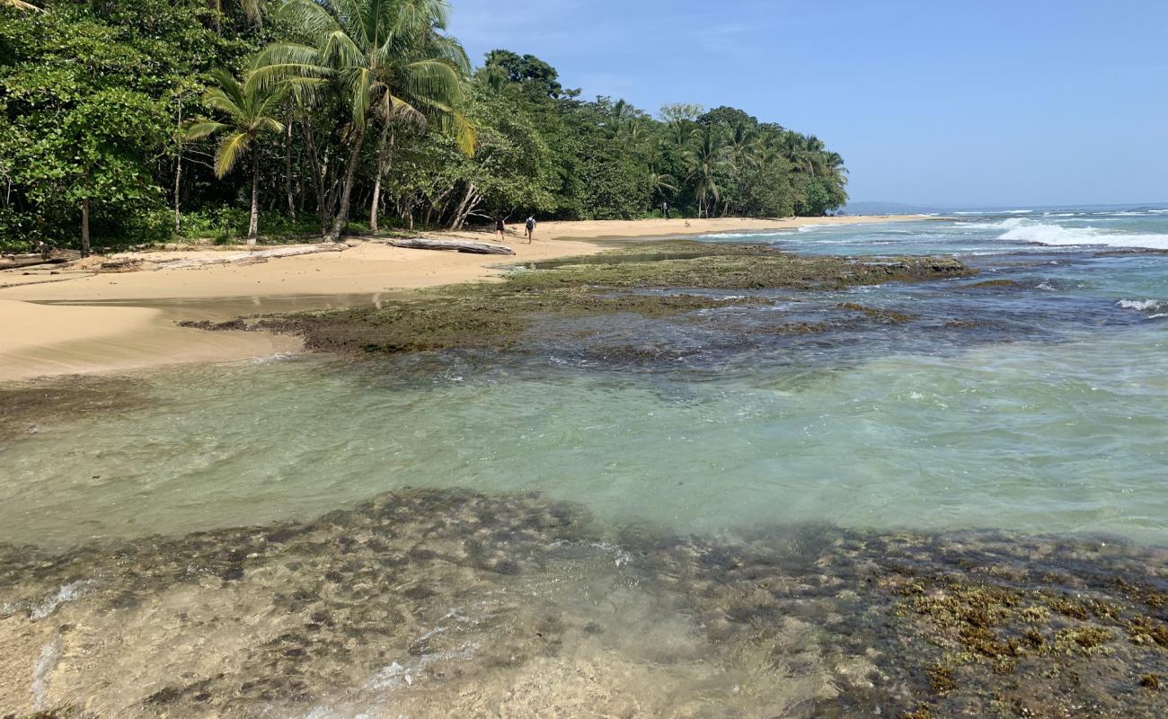 Chiquita beach'in fotoğrafı parlak kum yüzey ile