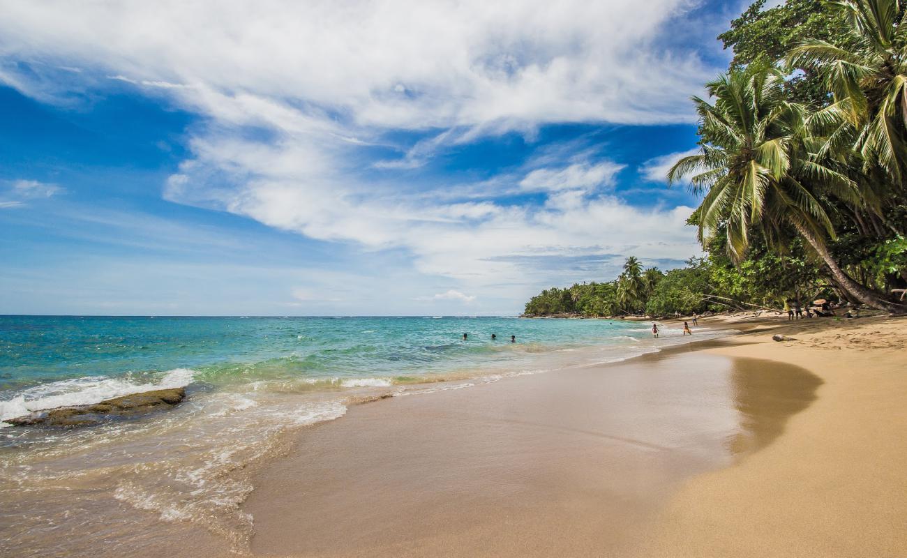 Punta Uva beach'in fotoğrafı i̇nce bej kum yüzey ile