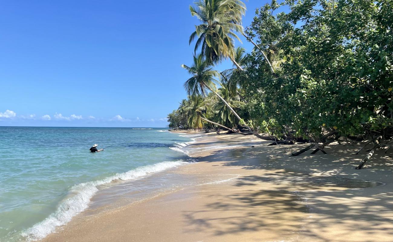 Punta Uva II Plajı'in fotoğrafı parlak ince kum yüzey ile