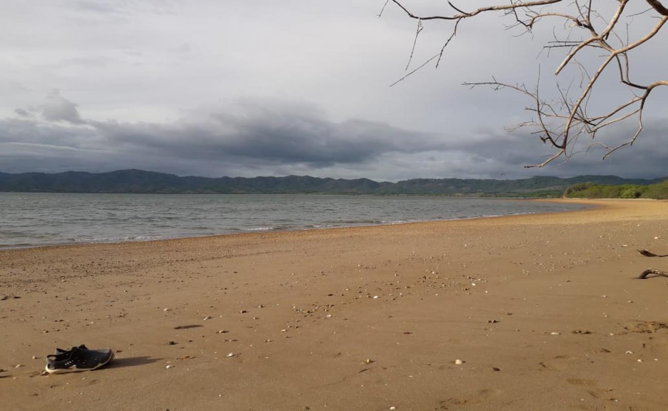 Pochotes beach'in fotoğrafı parlak kum yüzey ile