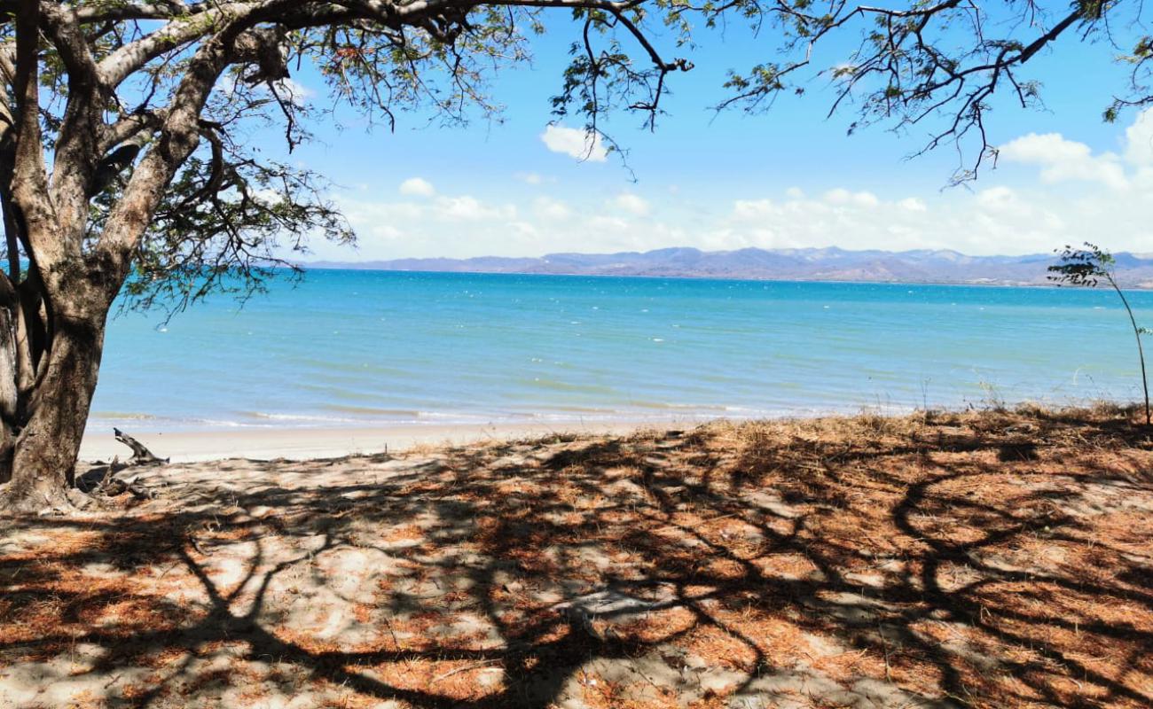 Morro beach'in fotoğrafı açık bej kum yüzey ile