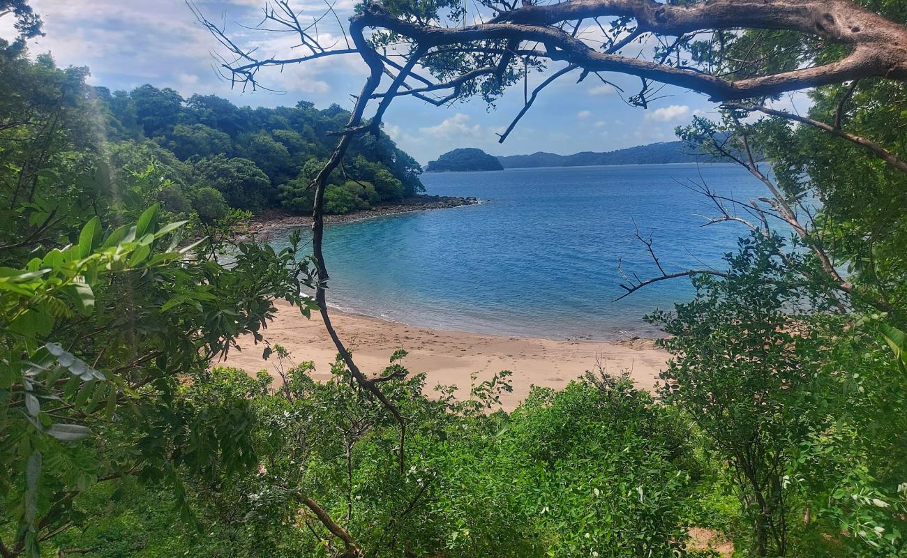 Macaya beach'in fotoğrafı açık bej kum yüzey ile