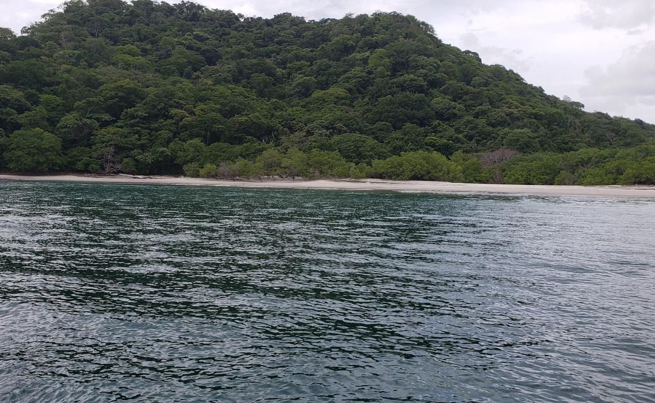 Ana Laura beach'in fotoğrafı açık bej kum yüzey ile