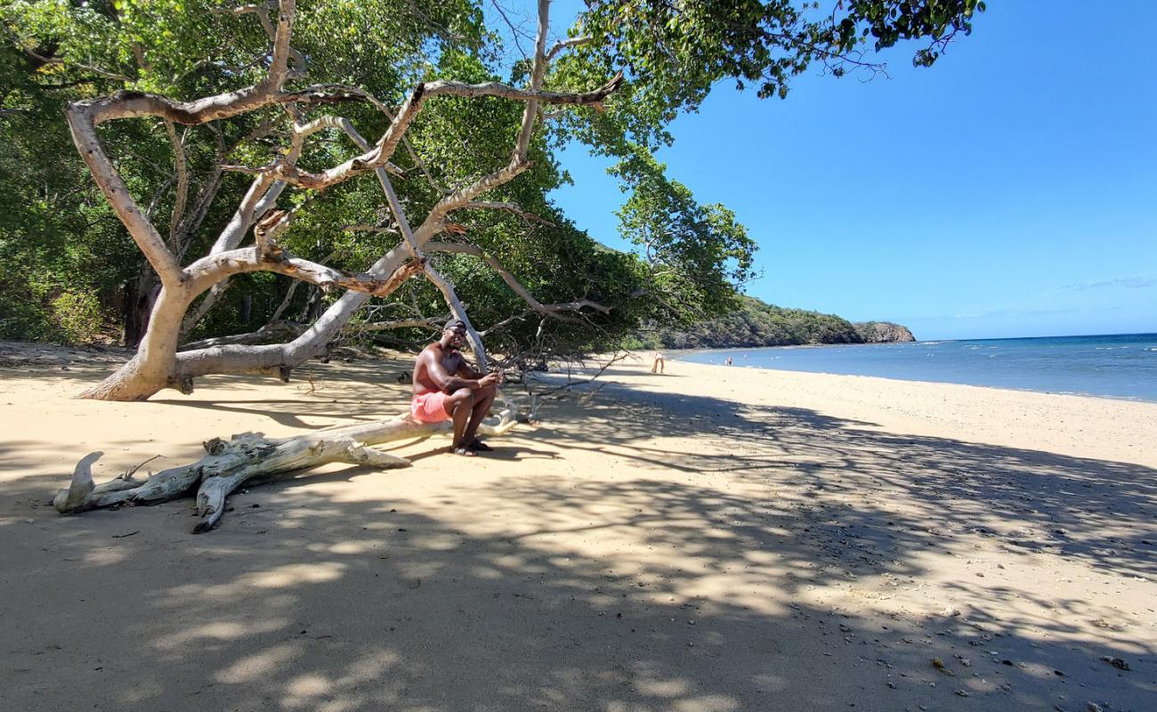 Tapustxunya Beach'in fotoğrafı i̇nce bej kum yüzey ile