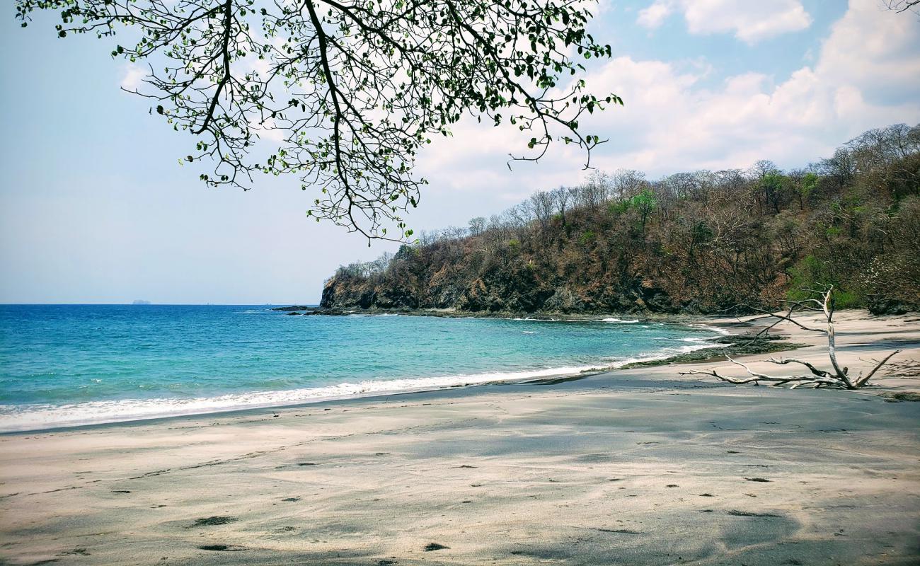 Playa Conejera'in fotoğrafı açık bej kum yüzey ile