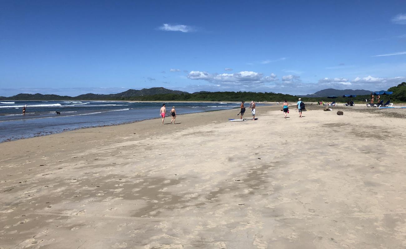 Tamarindo Beach'in fotoğrafı açık bej kum yüzey ile