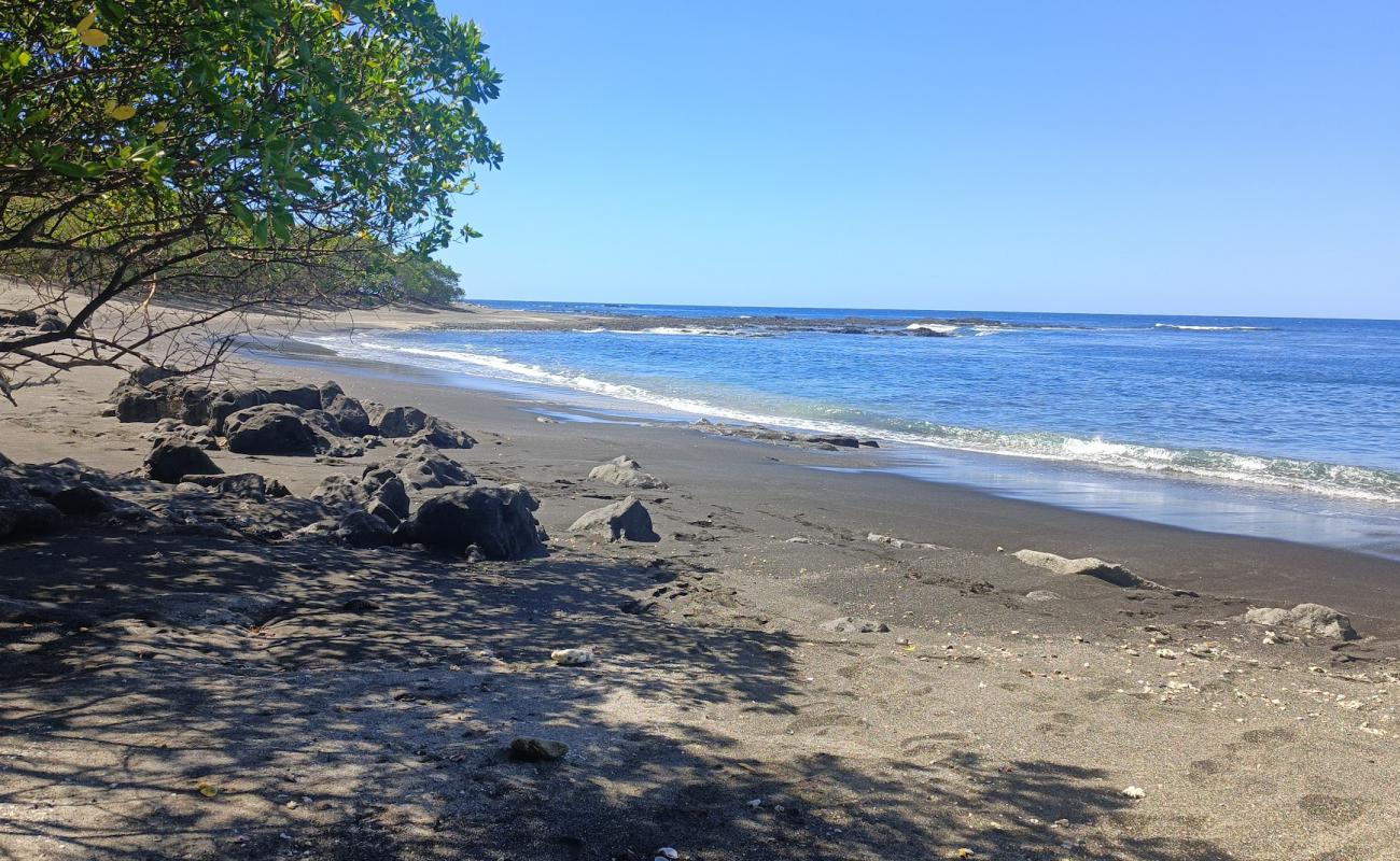 Nile Beach'in fotoğrafı taşlı kum yüzey ile