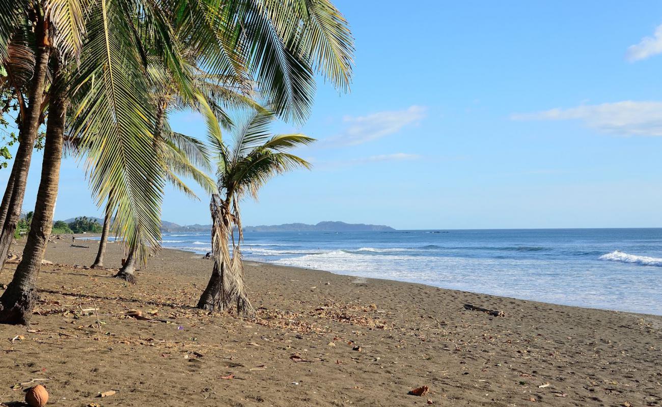 Playa del Ostional'in fotoğrafı gri kum yüzey ile