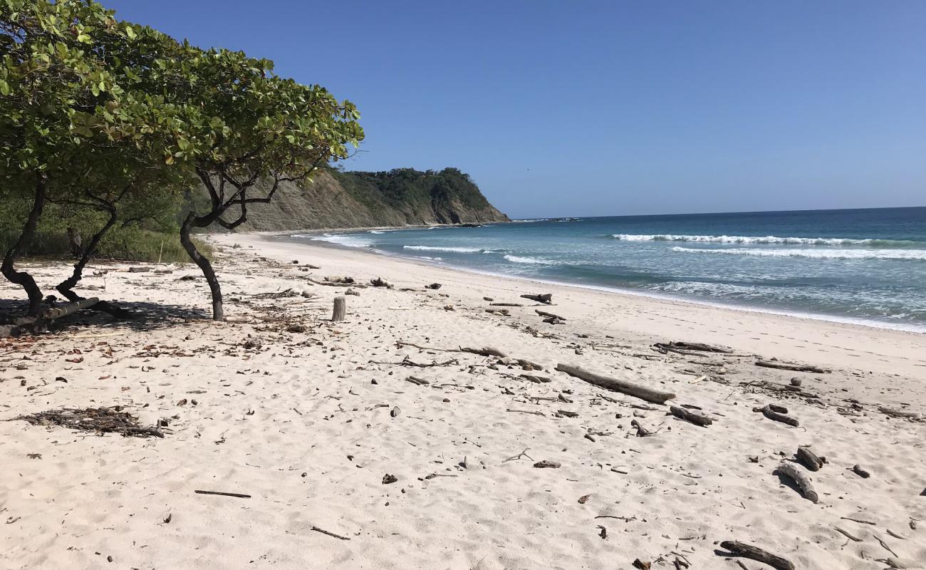Playa Barrigona'in fotoğrafı açık bej kum yüzey ile
