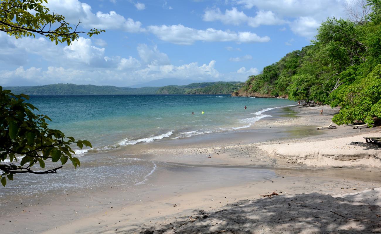 Punta Buena Vista'in fotoğrafı taşlı kum yüzey ile