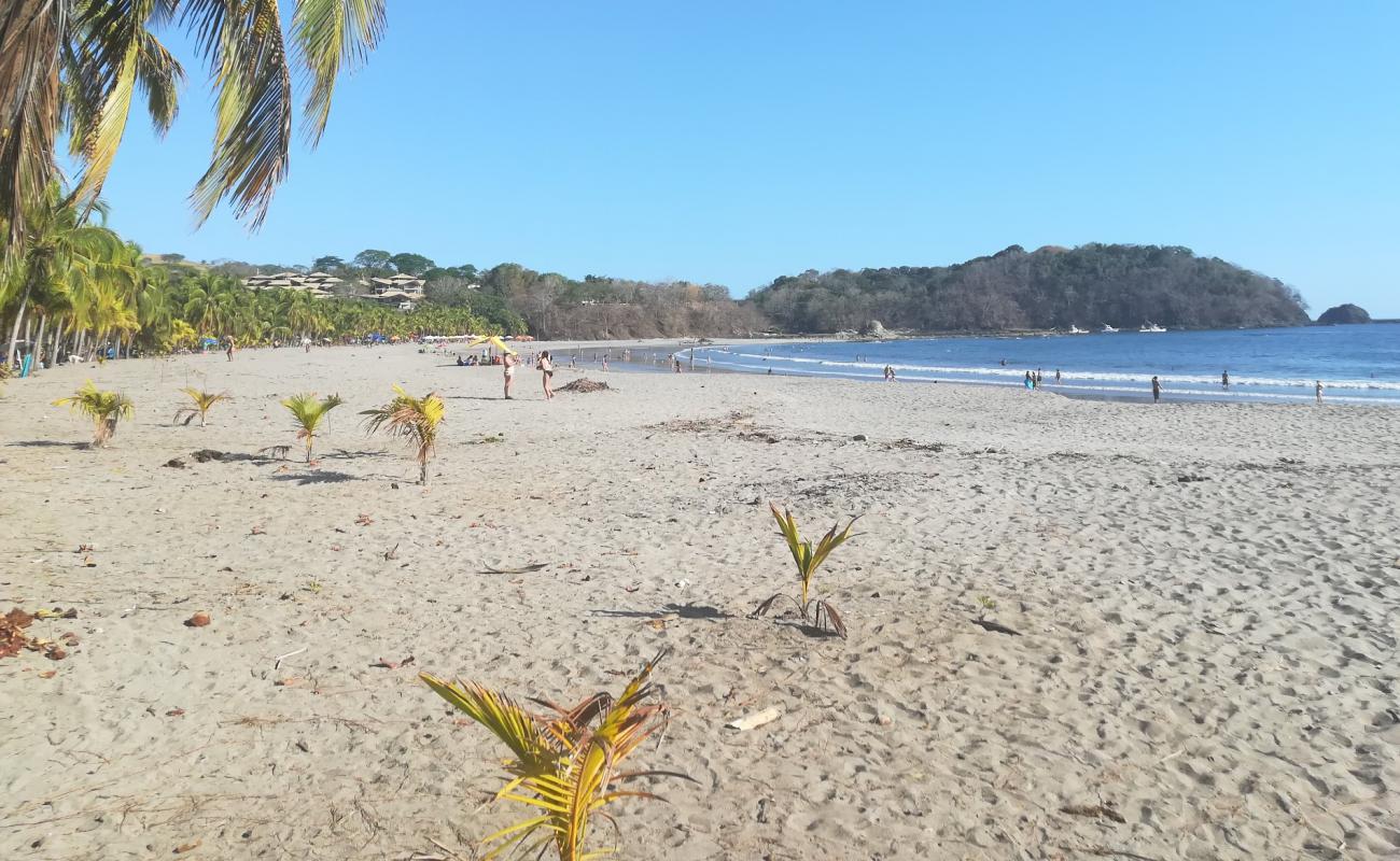 Carrillo Beach'in fotoğrafı açık bej kum yüzey ile