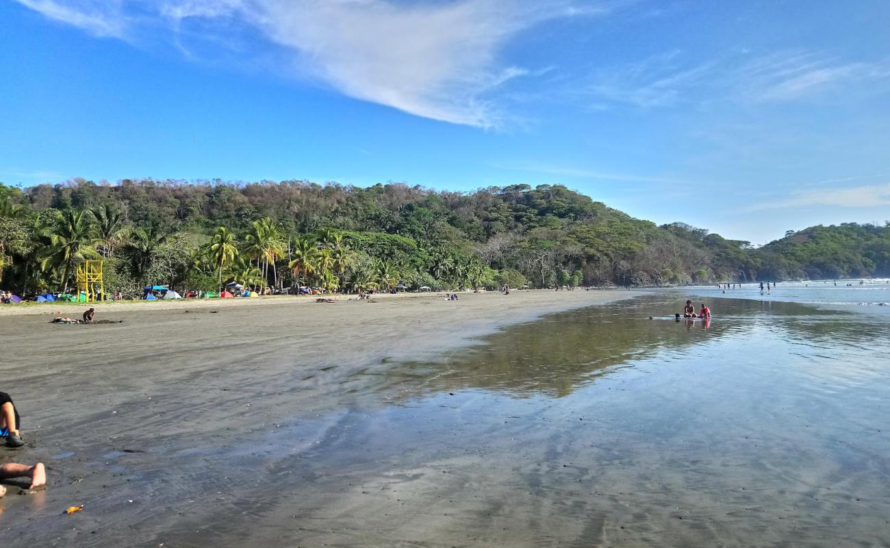 Coyote Beach'in fotoğrafı parlak kum yüzey ile