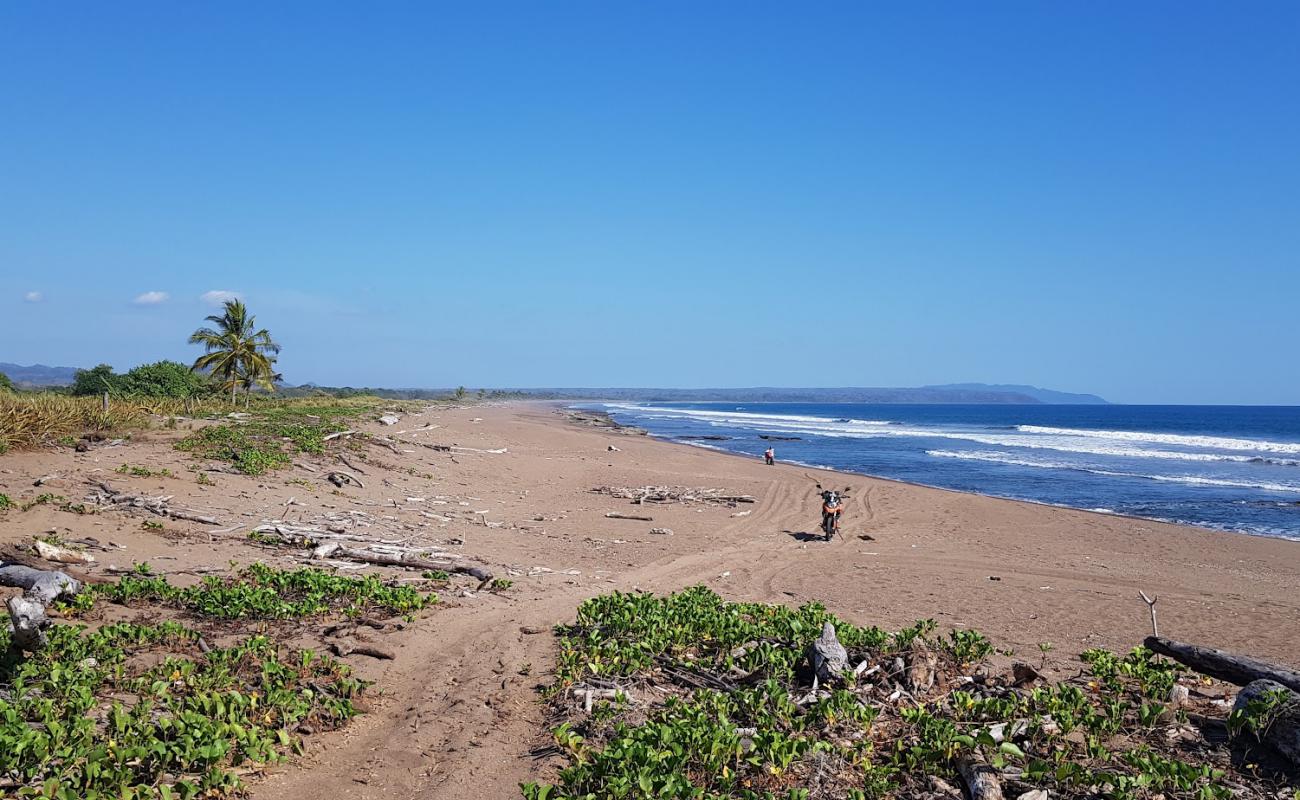Playa Ario'in fotoğrafı açık bej kum yüzey ile