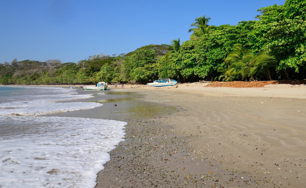 Manzanillo Beach'in fotoğrafı açık bej kum yüzey ile