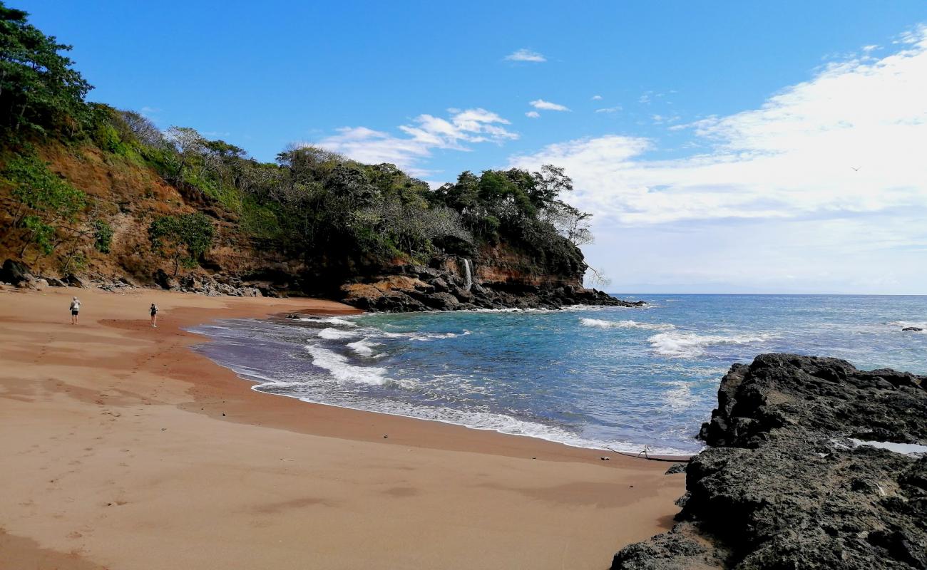 Cocalito Beach'in fotoğrafı parlak kum yüzey ile